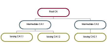 The PKI trust model